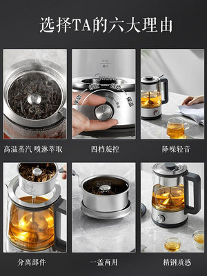 煮茶器電茶爐煮茶壺噴淋式壺多功能家用全自動蒸汽泡茶機