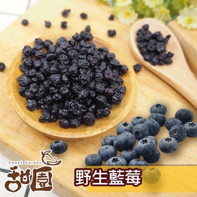 野生藍莓粒 200g大包裝 藍莓果乾 藍莓 水果乾 果乾 無糖果乾 豐富的花青素【甜園】