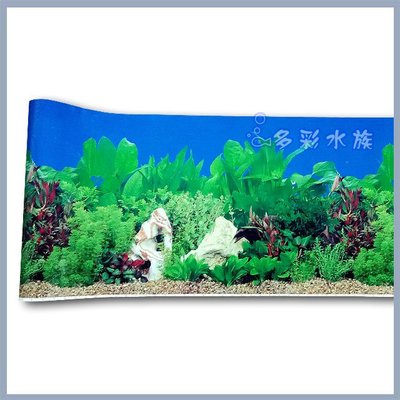 海水水草ptt與dcard推薦網拍商品 21年12月 飛比價格