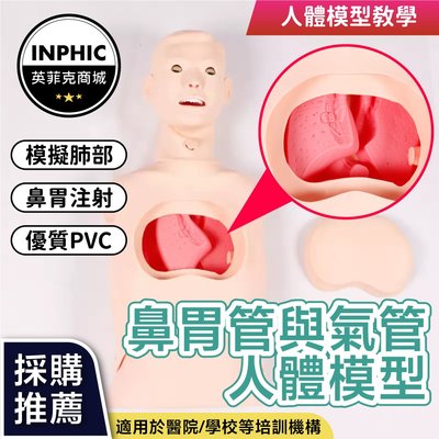 INPHIC-教學模型 高級鼻胃管與氣管護理模型 鼻胃管護理模型 護理教學模型 鼻胃管與氣管護理模型喉管-INFH046104A
