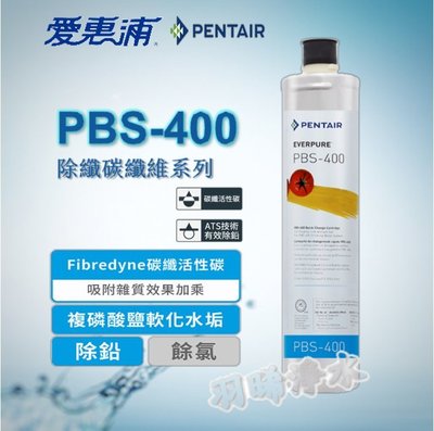 【愛惠浦公司貨 】EVERPURE PBS400 濾心 公司貨淨水濾芯 雷射標籤