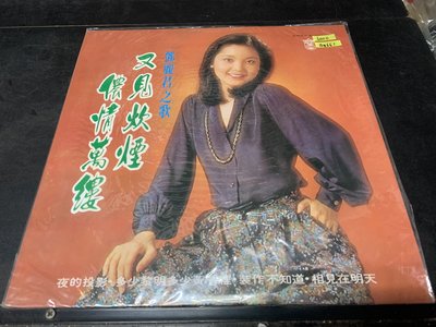 開心唱片 (鄧麗君~又見炊煙) 二手 黑膠唱片 B661