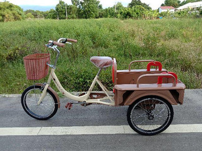 東東鐵馬客貨兩用三輪車，可載人可載貨，有卸貨閘門。三輪腳踏車自行車，可以電動助力