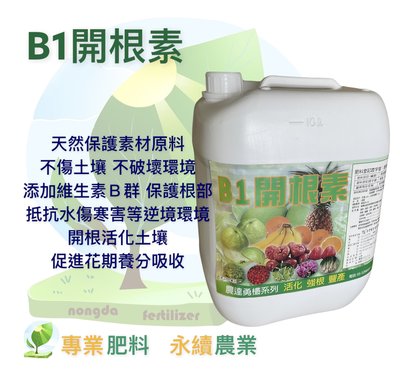 B1開根素 海藻 黃酸 幾丁聚醣 葉酸 維他命 半胱胺酸 天門冬胺酸 麩胺酸 蘋果酸 10L