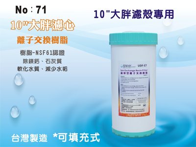 【龍門淨水】10吋大胖填充樹脂濾心 濾水器 淨水器 水族 飲水機 水塔過濾 養殖(貨號71)