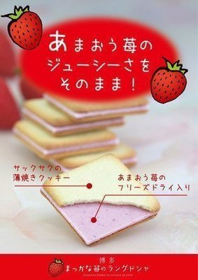 Mei 小舖☼ 預購 ！日本 福岡 花福堂 草莓夾心餅乾 20入