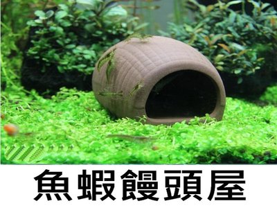 魚蝦 螯蝦 繁殖 躲藏 多功能陶瓷甕 紫砂陶罐 饅頭屋造型