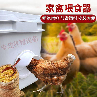 新款雞鴨鵝自動飲水器喂雞食槽飲水碗防撒自動喂食神器家禽喂養器