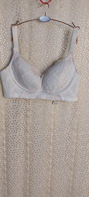 Y169蕾蒂蜜專櫃珍珠白網紗花朵蕾絲無鋼圈薄襯衣85B