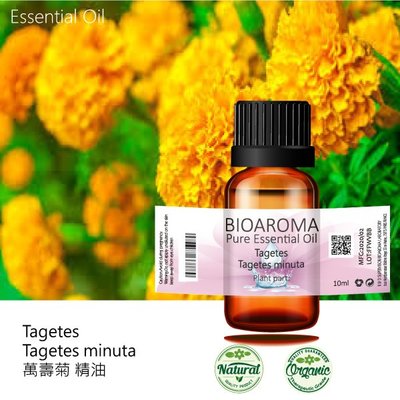 【芳香療網】Tagetes - Tagetes minuta 萬壽菊精油 100ml