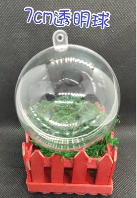 7cm 透明球 裝飾球 瓶中花 塑膠球 圓球 聖誕節 吊飾 吊球 壓克力球 擺飾 婚禮小物 乾燥花