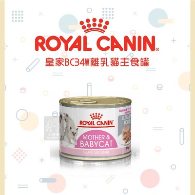 單罐（ROYAL CANIN皇家）主食濕糧餐罐。離乳貓與母貓。195g。奧地利製