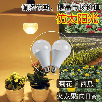LED火龍果百香果菊花種植反季節種植專用補光燈廠家批發