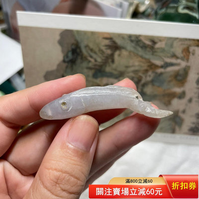 老翡翠小魚