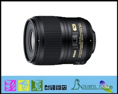 彩色鳥 (相機出租 鏡頭出租 租鏡頭) Nikon AF-S 60MM F2.8 G 微距鏡 D850