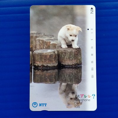 【大三元】日本-地鐵.電話卡-動物系列-人類的毛孩子 狗 (19)