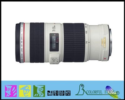 彩色鳥 (租鏡頭)租 Canon EF 70-200mm f4L IS USM 5D3 5D4 R5 R6 A73