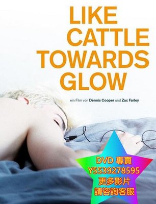 DVD 專賣 寂寞是光/Like Cattle Towards Glow 電影 2015年
