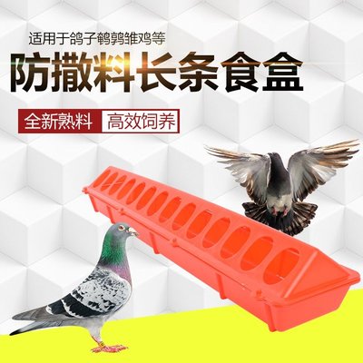 下殺-【公司貨 品質無憂】鴿子用品用具信鴿食槽自動喂食器防撒防濺飼料槽賽鴿食盒喂養鴿子