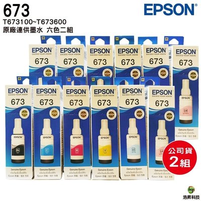 EPSON T673 六色二組 原廠填充墨水 盒裝 適用L800 L805 L1800