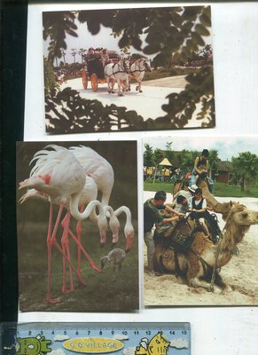 老藏樂  【台南景點】 頑皮世界野生動物園  明信片(未使用6張)