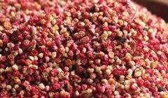 台東農產紅藜麥 帶殼紅藜 脫殼紅藜 藜麥種子 台灣原生種 (混色)  種子 (蔬果類種子)每包約60g