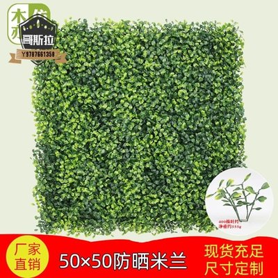 50*50 米蘭草裝飾 4層加密抗紫外線防曬草皮 塑膠仿真植物牆 草坪#哥斯拉之家#