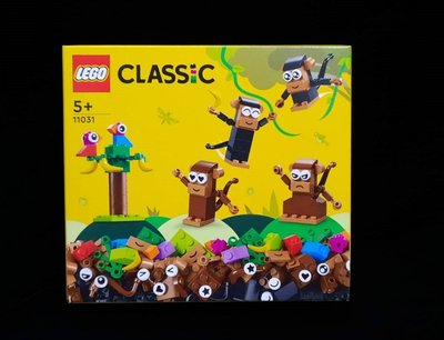 (STH)2023年 LEGO 樂高 CLASSIC-  創意猴子趣味套裝  11031