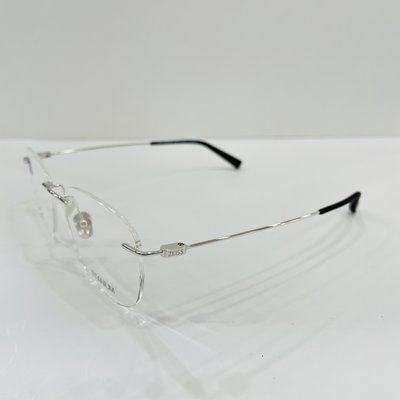 《名家眼鏡》德國蔡司純鈦紳士款銀色無框光學鏡框 ZS-85019A F020【台南成大店 】