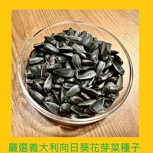台灣PIH嚴選-向日葵芽菜專用種子 150ml-防潮袋-種子花苗