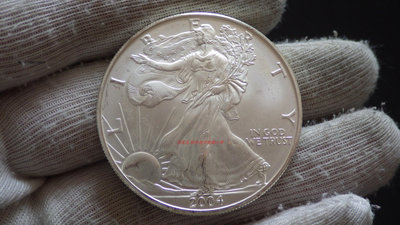 銀幣美國2004年行走女神拿花鷹洋1美元 1盎司投資銀幣 美洲錢幣