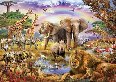 17698 3000片歐洲進口拼圖 EDUCA 繪畫 動物 大象 獅子 長頸鹿 豹 斑馬 彩虹 犀牛 非洲