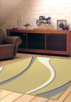 【范登伯格】艾斯流線現代設計比利時進口大地毯.賠售價6690元含運-160x230cm