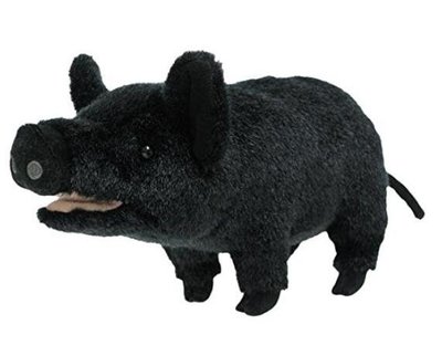 7276c  日本進口 限量品 好品質 超可愛黑色小豬豬動物絨毛絨玩偶娃娃黑豬擺件櫥窗裝飾品