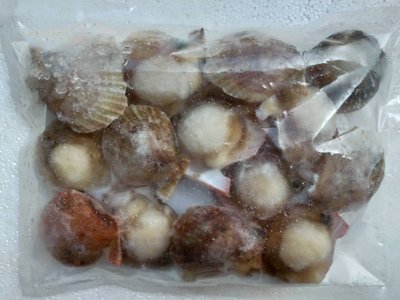冷凍半殼扇貝