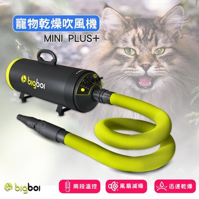 【少量現貨】bigboi寵物乾燥吹風機 MINI PLUS+ 吹水機  寵物美容 寵物吹毛 寵物吹水機 雙馬達吹風機
