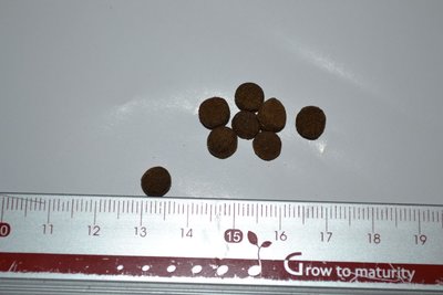 石斑飼料 / 沉底飼料  -3號(顆粒約6mm) (便利商店取貨一箱可放4.5公斤)