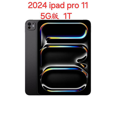 5G版 2024 Apple iPad Pro 11吋 1T