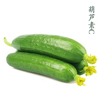 百花園日本小黃瓜種子20入g0015