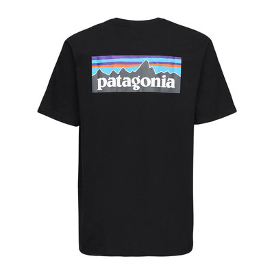 【高冠國際】Patagonia P-6 Logo 短袖 短T Tee 基本款 山景 山脈 厚磅 環保 再生