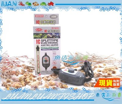 【魚店亂亂賣】水族先生IC自動控溫器30W(防爆型)加溫器/加熱器K-MR-001台灣MR.AQUA