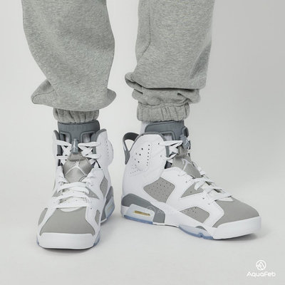 Nike Jordan 6 Retro Cool Grey 男 白灰 經典 喬丹 運動 休閒鞋 CT8529-100