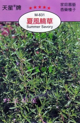 【野菜部屋~】S15 夏風輪草Summer Savory~天星牌原包裝種子~每包17元~