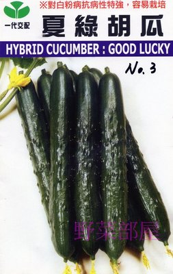 【野菜部屋~中包裝】K61 日本夏綠小黃瓜種子3.5公克 , 抗白粉病 , 耐熱性強 ,每包180元 ~
