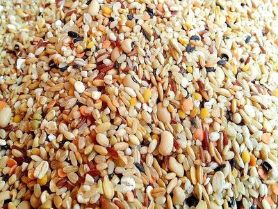 ｛豐｝糧行 黃金比例十三穀米 1300公克 養生米 雜糧米 五穀米 十穀米