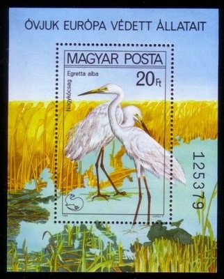 [亞瑟小舖]匈牙利歐洲保育鳥類白鷺鷥新票小全張,上品!!!(1980年)