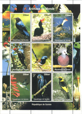 幾內亞鳥小版 郵票  明信片 紀念票【錢幣收藏】14066