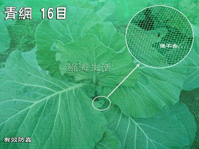 【綠海生活】(零售/每尺12元) 16目 6尺 青網 蔬菜網 防蟲網 防風網