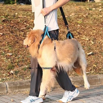牽引繩狗狗高齡犬介護用寵物牽引繩殘疾受傷老齡犬前后腿輔助背帶牽引帶