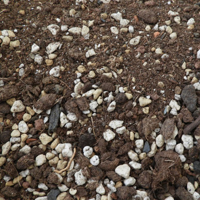 ☆貝殼的家☆觀葉植物用土 / 多肉用土 / 加蛋殼粉 / 疏水介質 / 1.5公斤